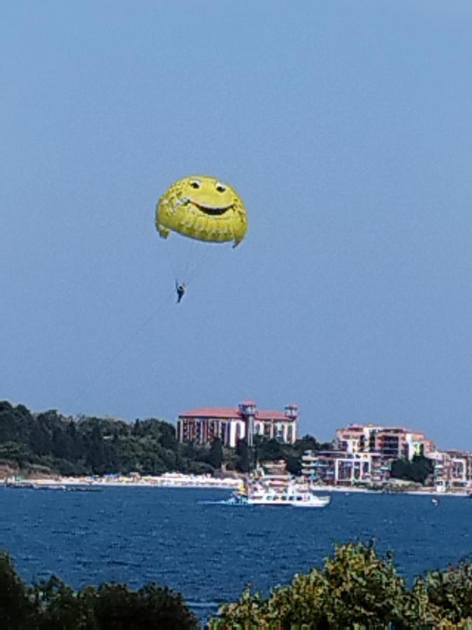 Salvia Daire Ravda Dış mekan fotoğraf
